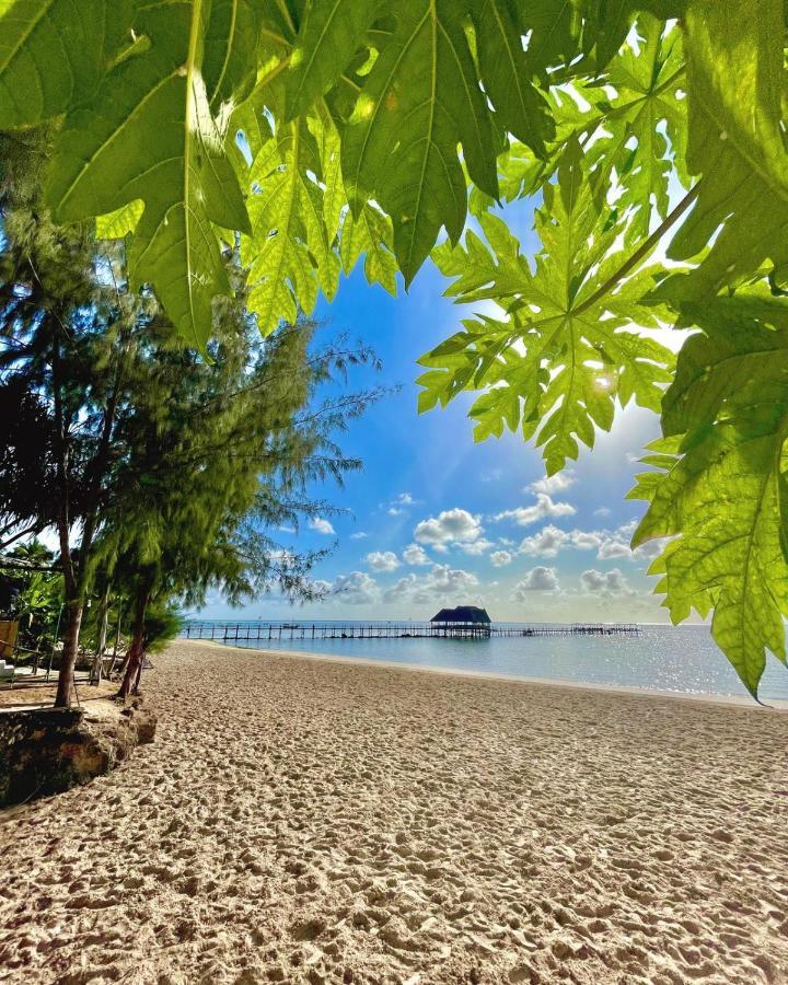 Hotel Five Palms Marumbi Zewnętrze zdjęcie